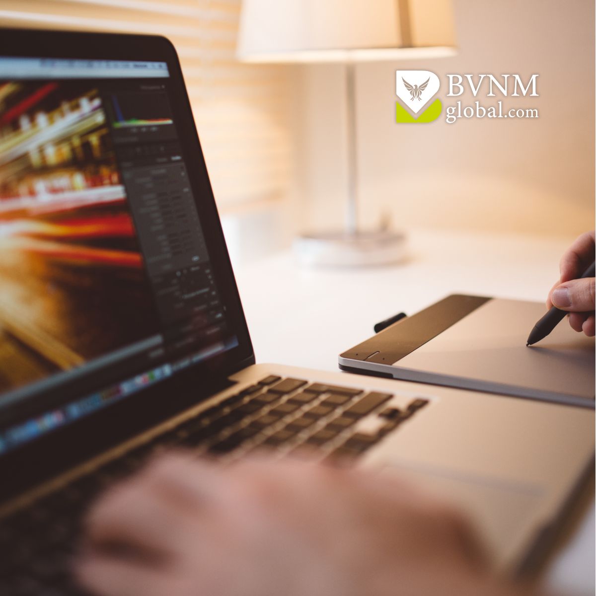 BVNMglobal - Dein Partner für moderne Lösungen im Network Marketing